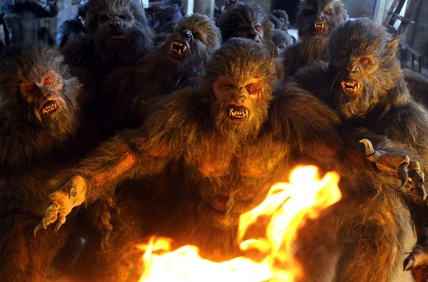 Lobos de Arga Lobos de Arga