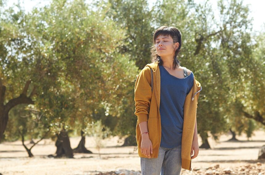 Crítica de 'El Olivo' de Icíar Bollaín Crítica de 'El Olivo' de Icíar Bollaín