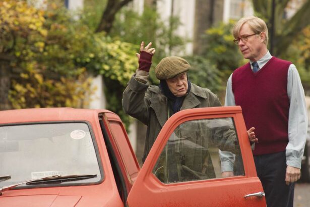critica the lady in the van
