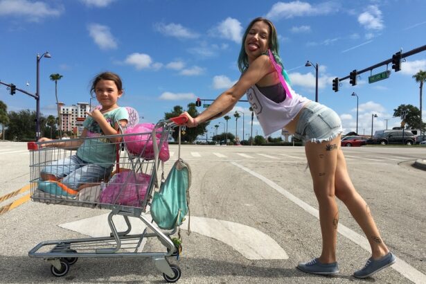 The Florida Project - crítica